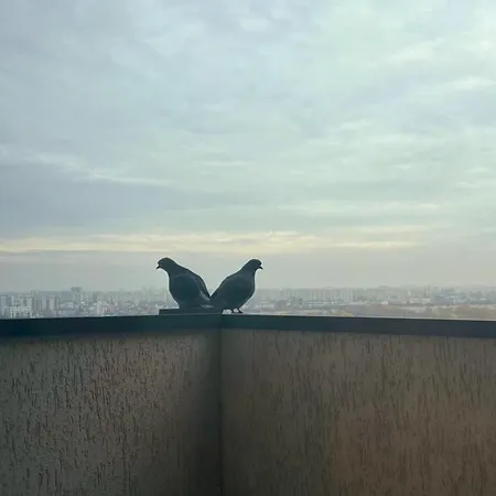 Appartement Homey Vacaresti *