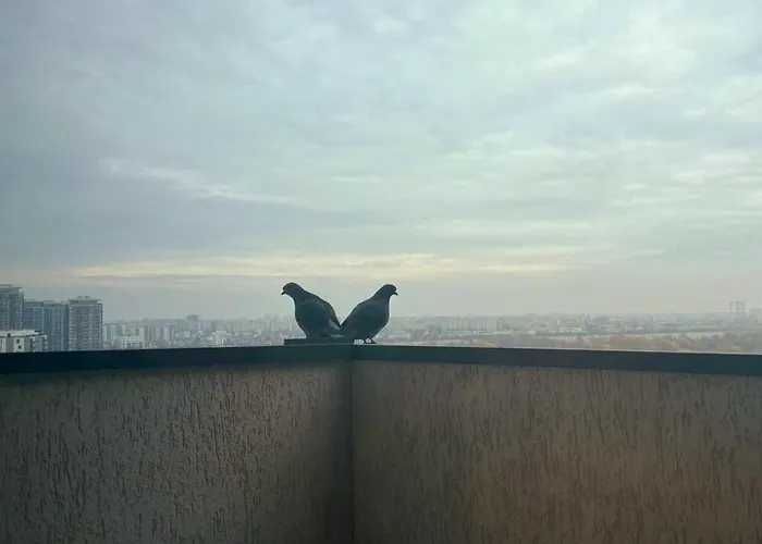 Апартаменти Homey Vacaresti *