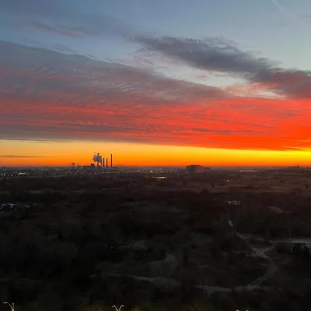 Apartment Homey Vacaresti